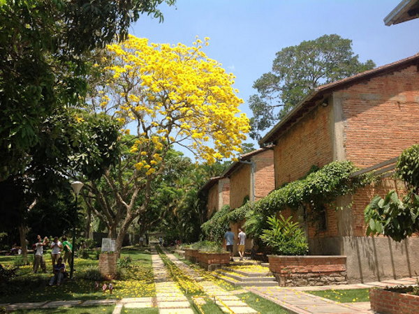 Hacienda La Trinidad Parque Cultural