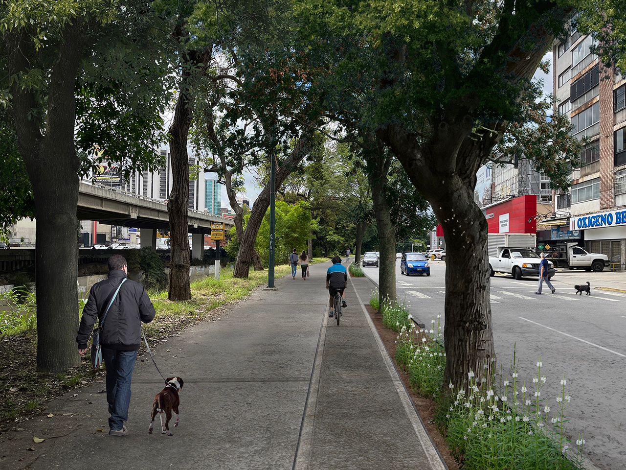 En este momento estás viendo La Alcaldía de Baruta anuncia la creación del Parque Lineal en Colinas de Bello Monte